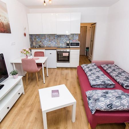 Apartment Near The Ondrej Nepela Winter Stadium Bratysława Zewnętrze zdjęcie